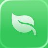 Folium