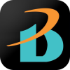 Briton CCTV Pro